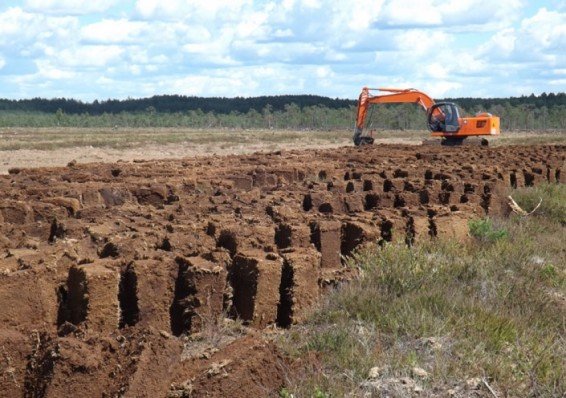 Беларусь увеличила добычу торфа на 37 процентов | Ежедневник