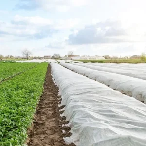 white-agrofibre-3-500x500-1