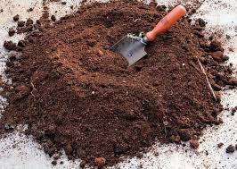 завантаження (3)