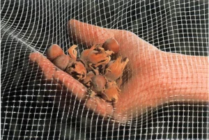 zcj5w7ivhk3bou7hopu32bo-e8odltjn1